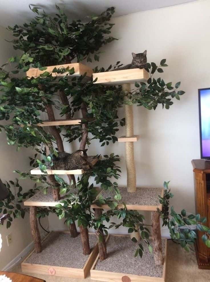 Diy Natural-Looking Cat Tree