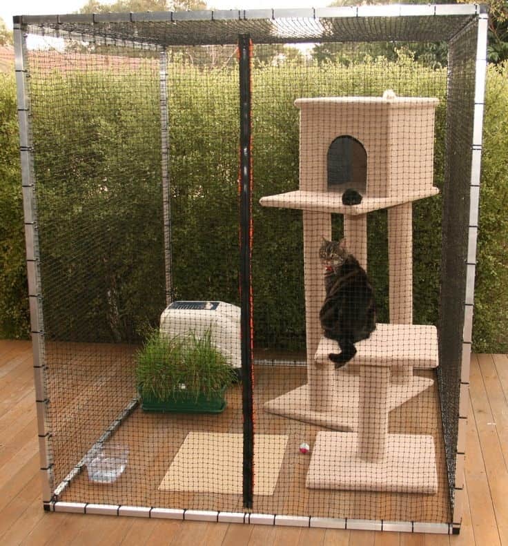 Diy Outdoor Cat Cages