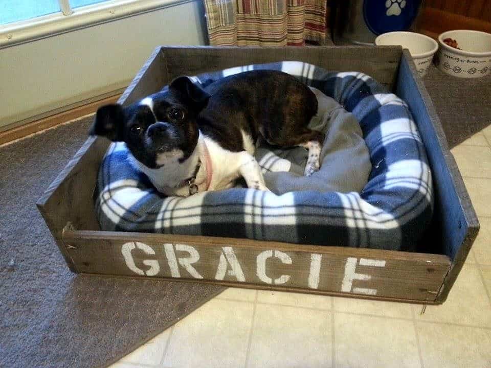 Diy Personalized Pallet Dog Bed