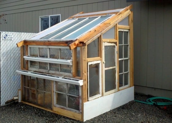 Diy Pvc Pipe And Window Screen Mini Greenhouse