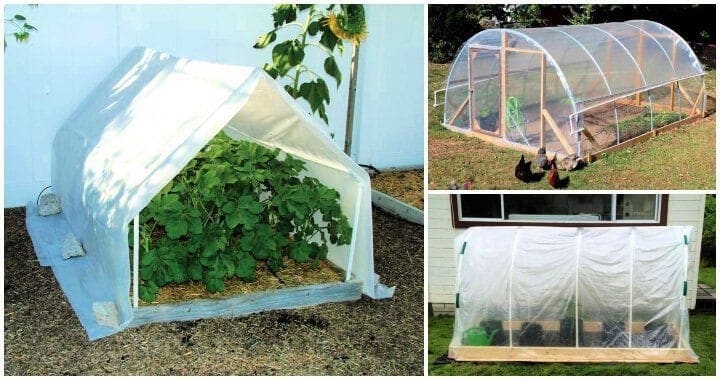 Diy Pvc Pipe Mini Greenhouse For Backyard Gardening