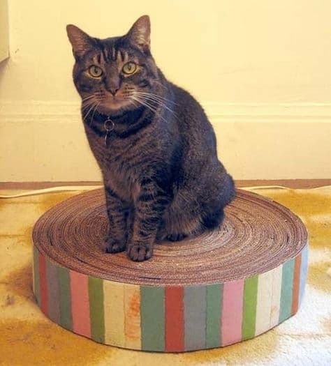 Diy Round Cardboard Cat Scratcher