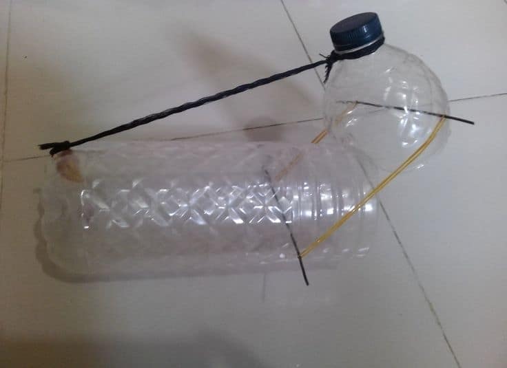 Diy Squirrel Trap Ideas From Plastic Bottle