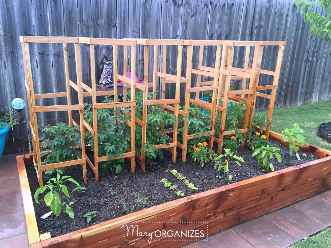 Diy Tomato Cages
