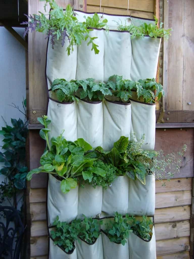 diy vertical garden