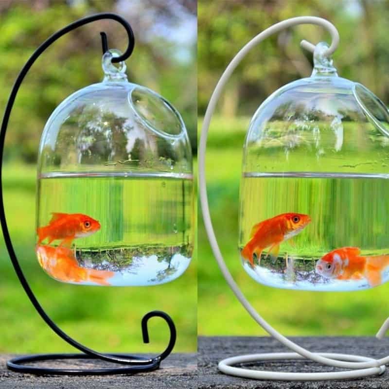 Floating Fish Tank Stand