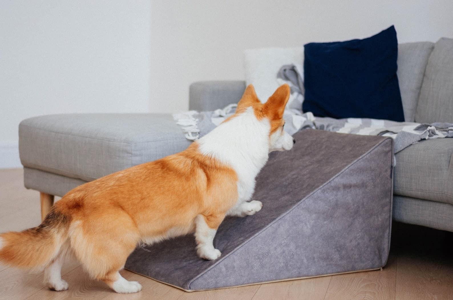 Foam Dog Ramp For Couch