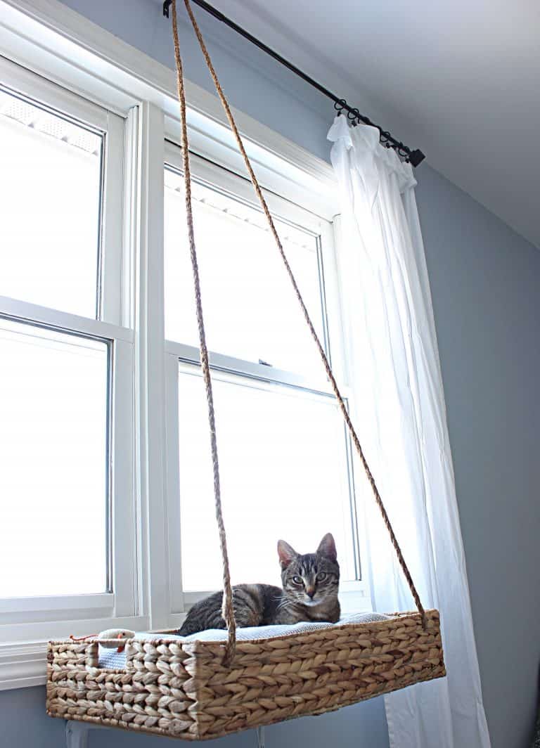 Hanging Basket Diy Cat Hammock