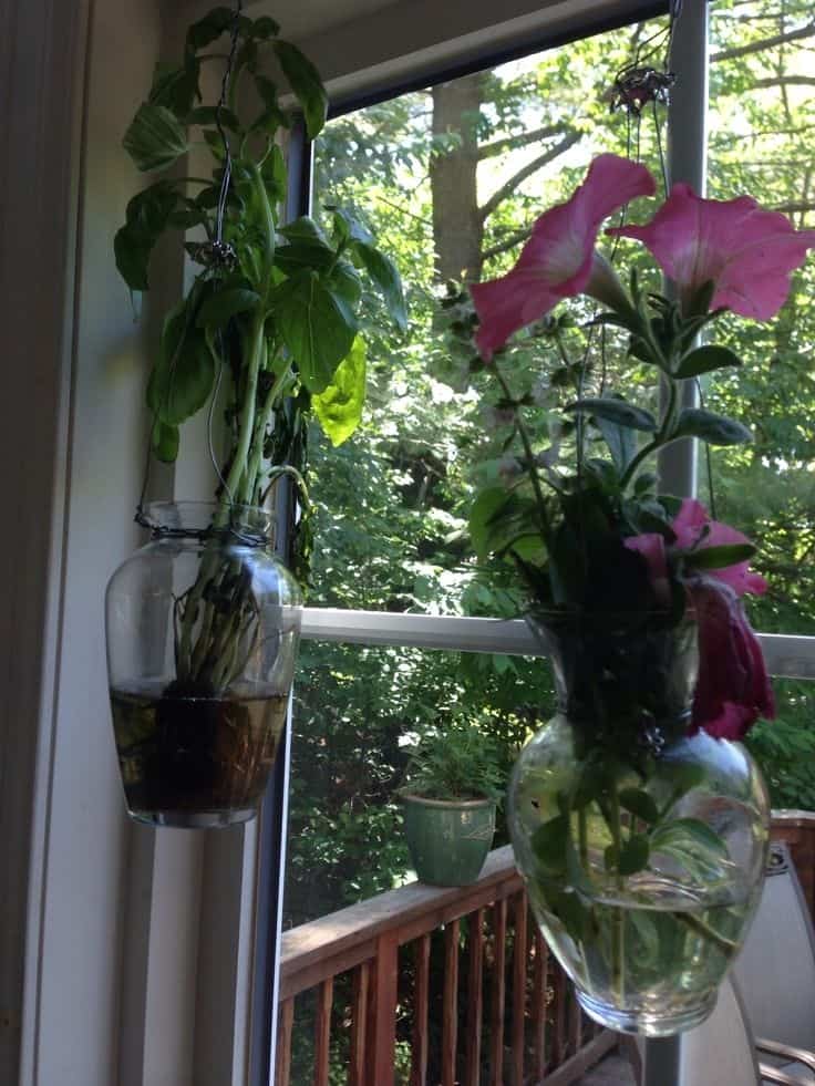 Hanging Glass Bottle Herb Garden