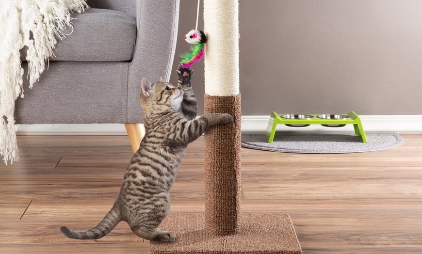 Hanging Scratching Pad For Cats