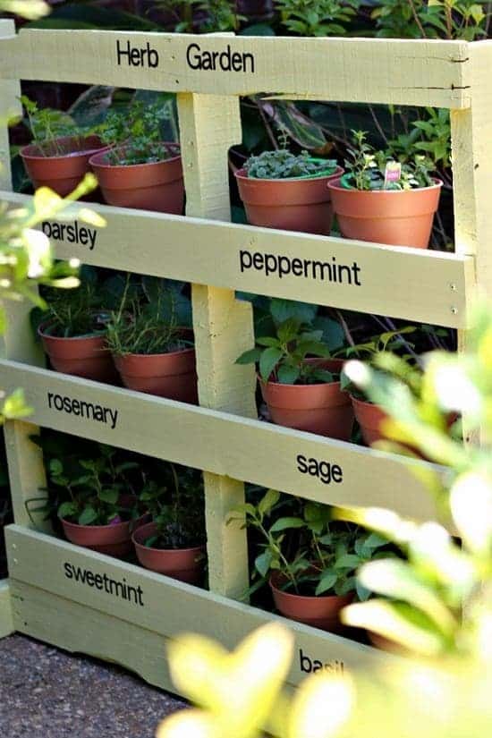 Herb Garden Ideas With Pots And Planters