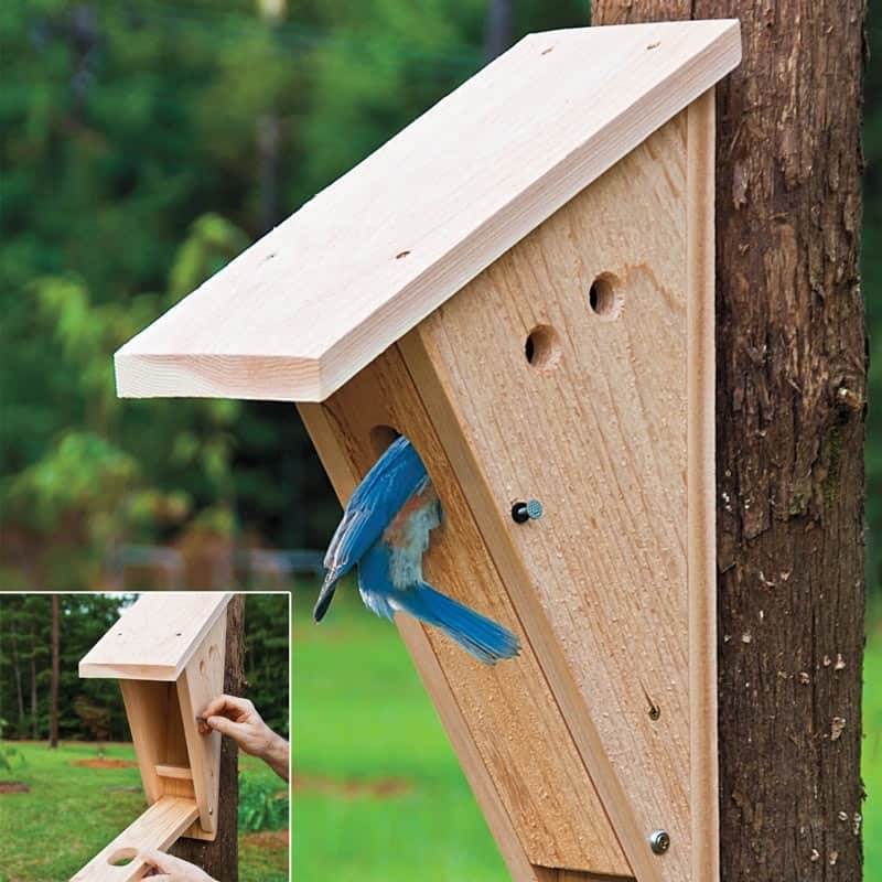15 DIY Bluebird House Plans That Attract The Beautiful Birds