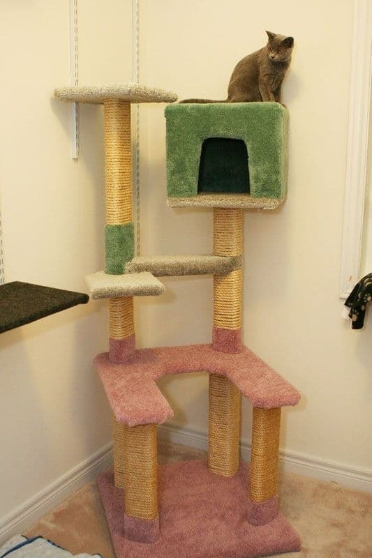 How To Make A Diy Cat Tree