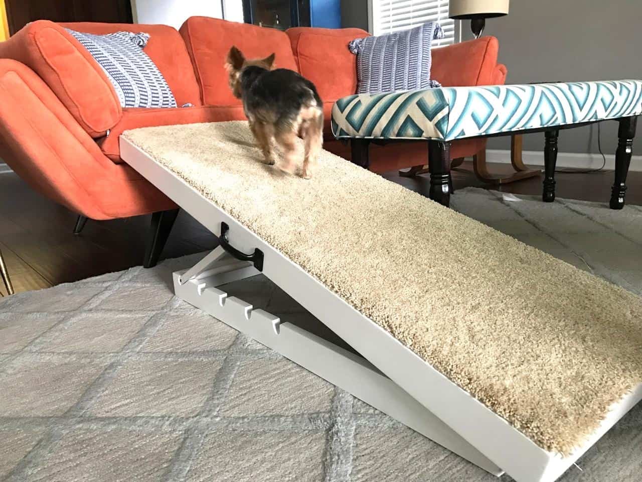 Indoor Dog Ramps For Couch