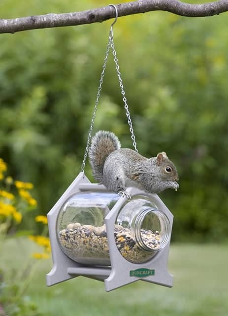 Jar Squirrel Feeder Plans