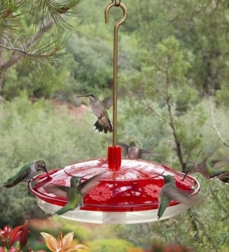 Large Diy Hummingbird Feeder
