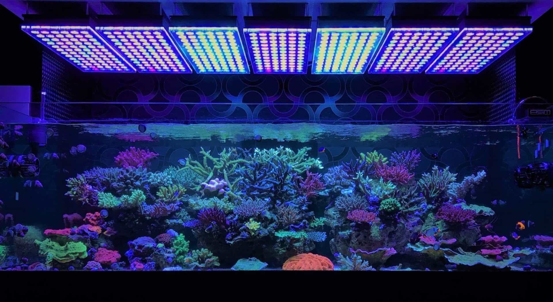 CIPACHO 24 in. Black Multi-Color LED Aquarium Light Full Spectrum  Freshwater Fish Tank Plant Marine T-FH0013104 - The Home Depot