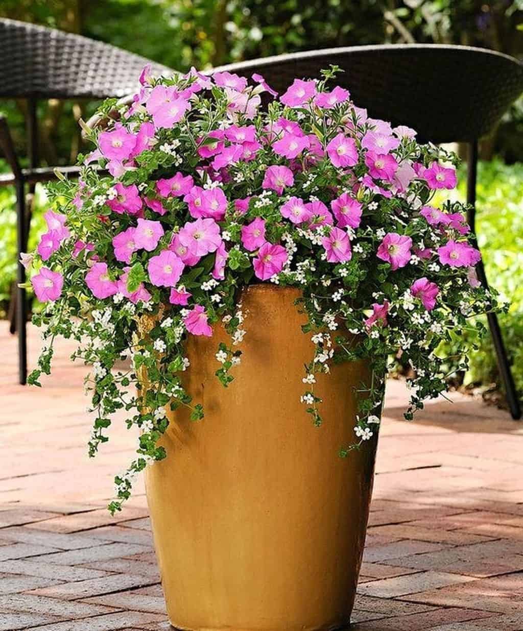 Minimalist Front Door Flower Pots