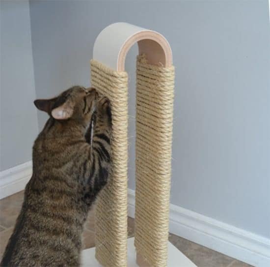 Modern Diy Cat Scratcher Post