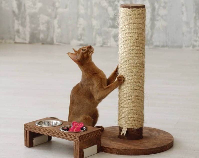 Natural Diy Cat Scratching Post