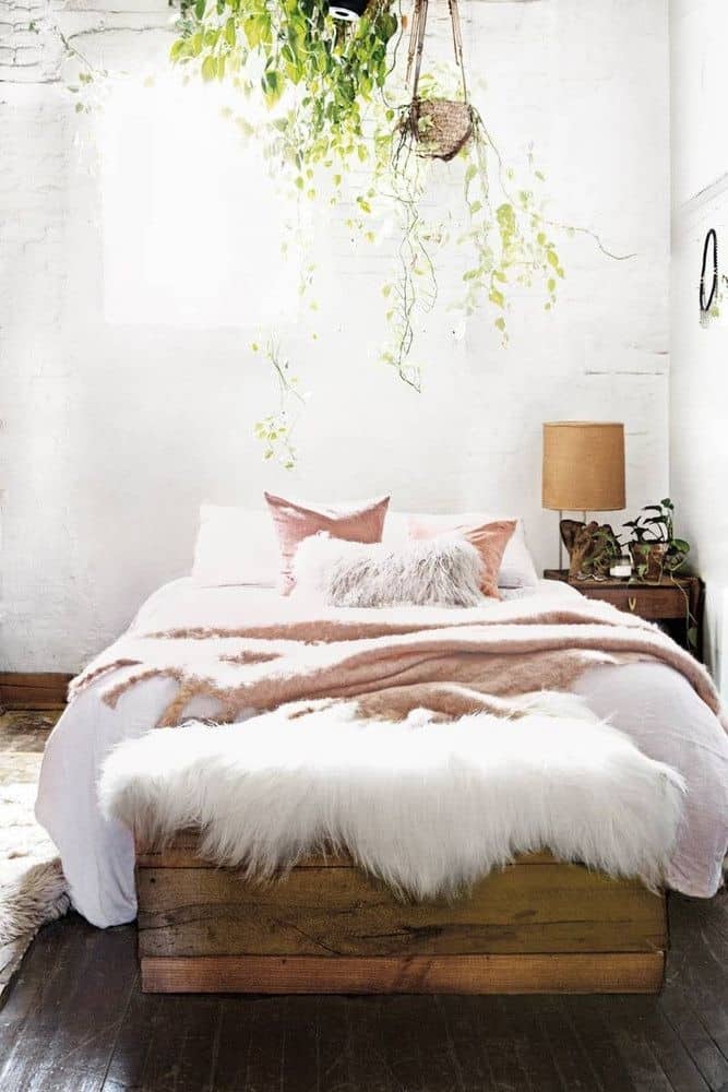 Natural Dorm Room Ideas