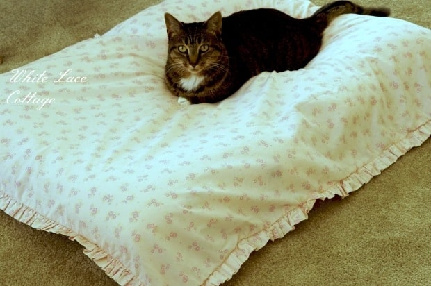 No-Sew Cat Bed