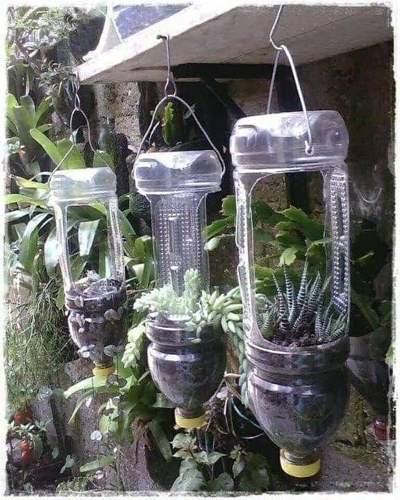 Plastic Bottle Hanging Herb Garden