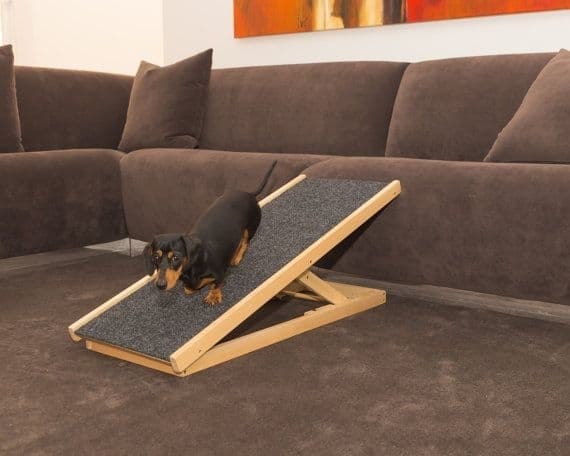 Portable Simple Carpeted Dog Ramp
