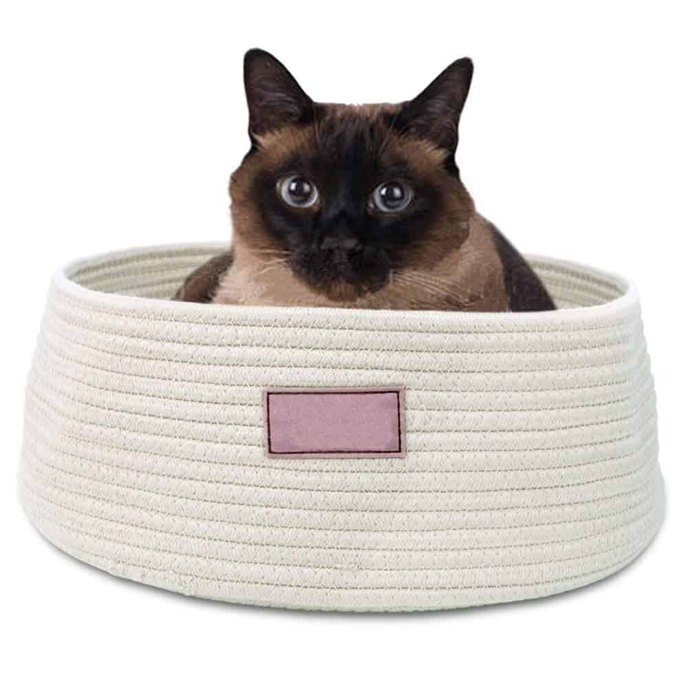 Rope Kitty Diy Cat Bed