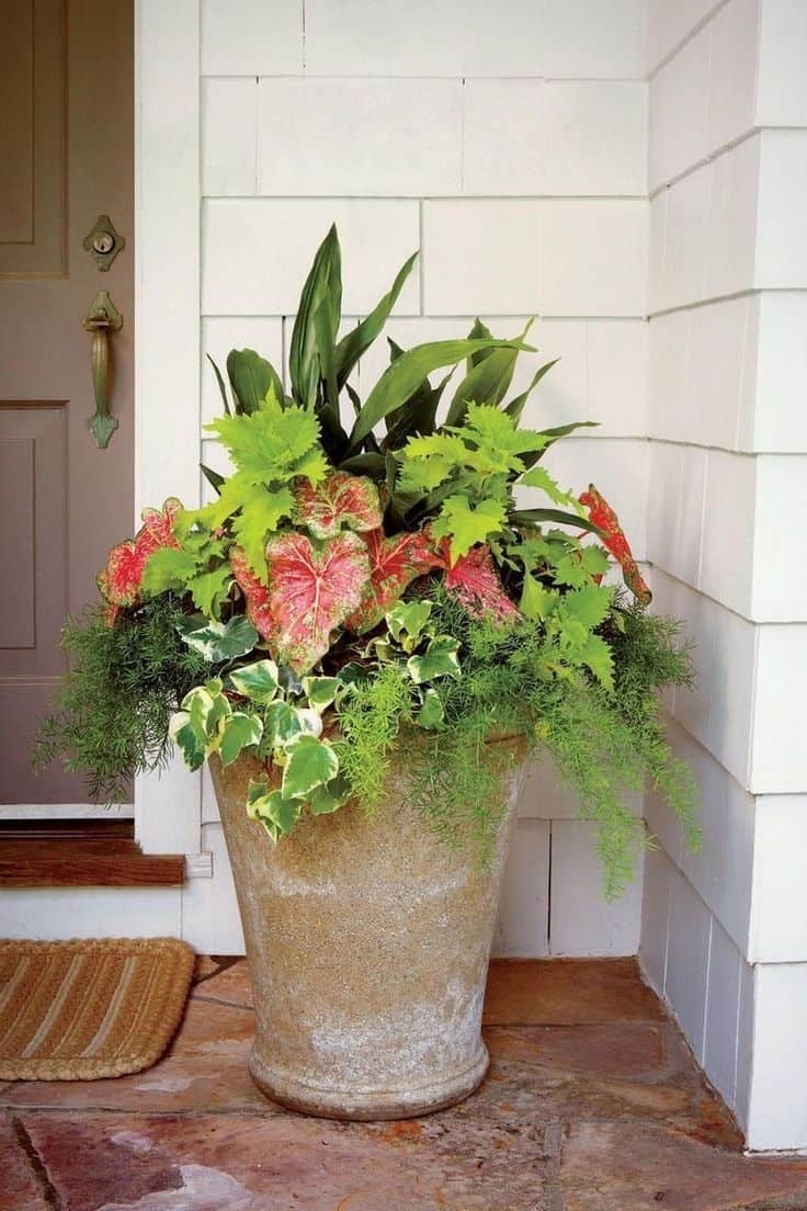 Rustic Front Door Flower Pots
