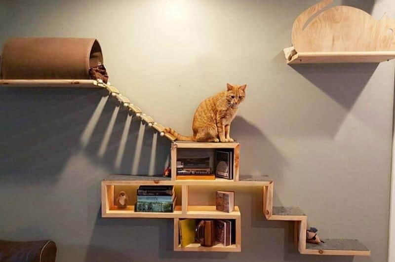 Sheet Of Plywood Diy Cat Hammock