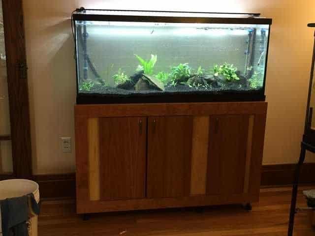 Simple Wood Aquarium Stand