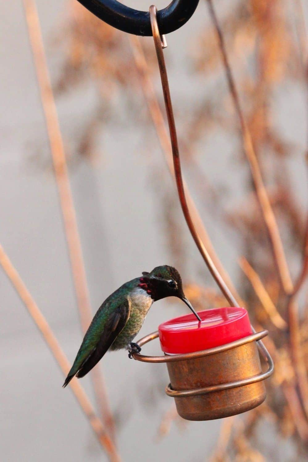 Small Diy Hummingbird Feeder