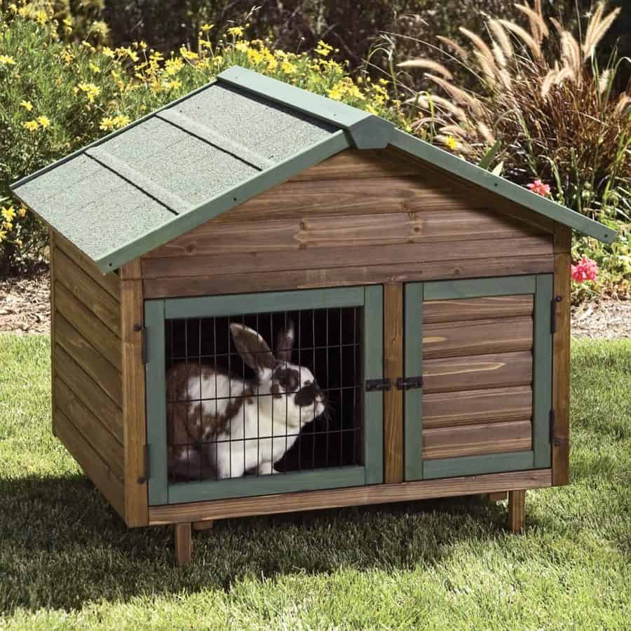 Small Rabbit Hutch Plans