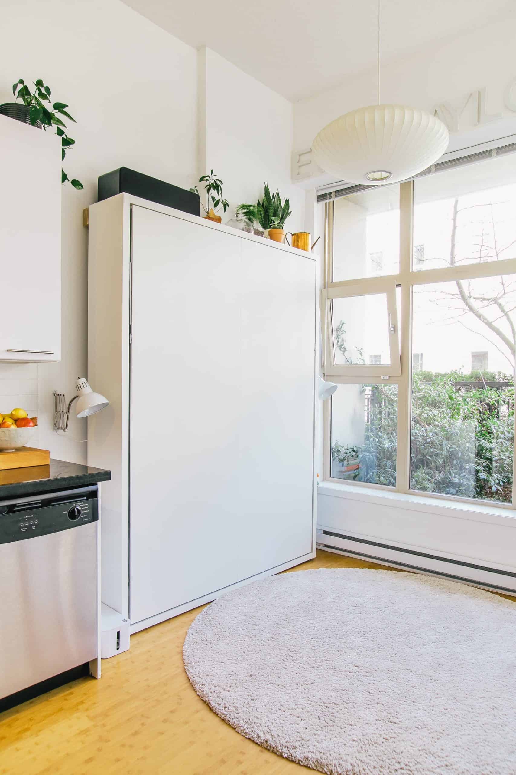 Tiny House Kitchen with a Murphy Bed