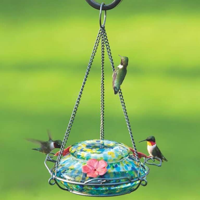 Solar Powered Hummingbird Feeder