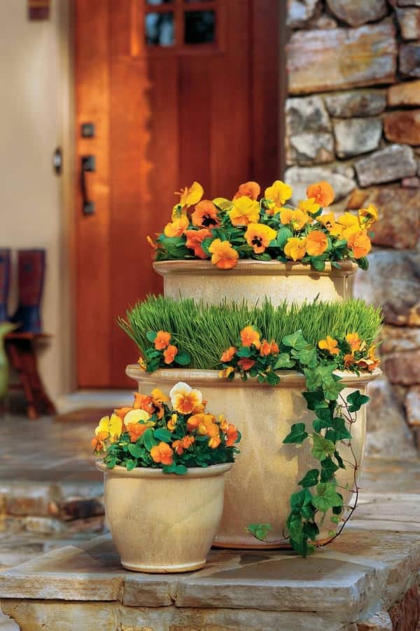 Front Door Flower Pots Ideas