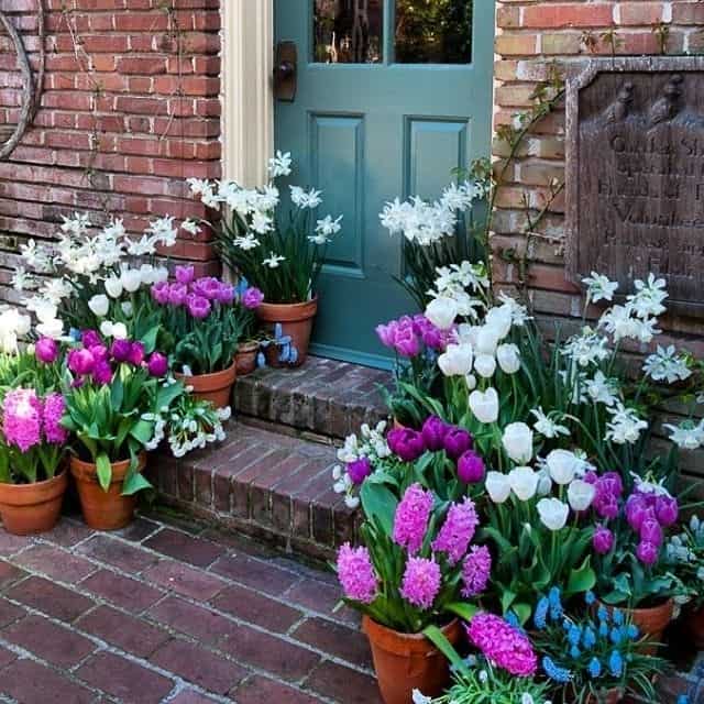 Terracotta Front Door Flower Pots