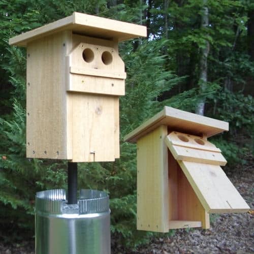 The Traditional American Bluebird House