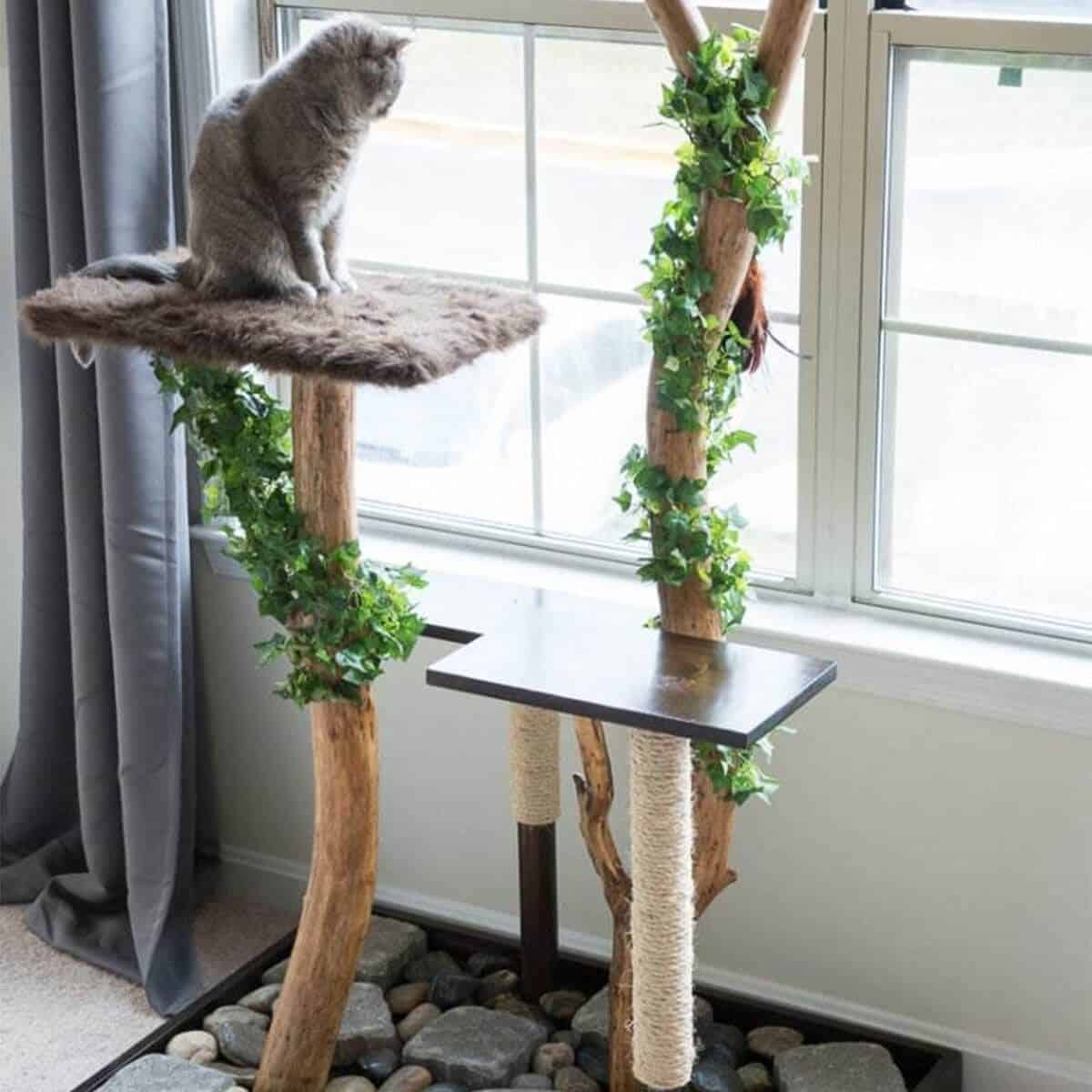 Tree Branch Diy Cat Hammock