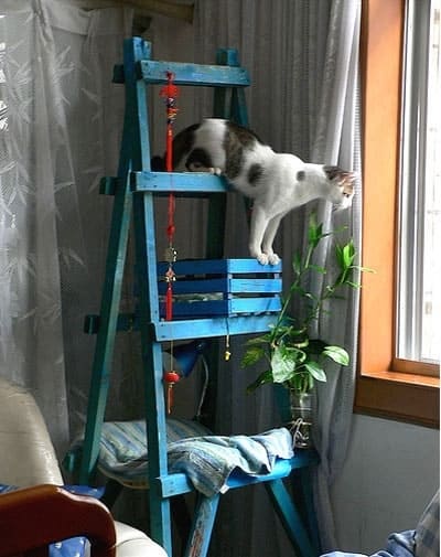 Use A Wooden Ladder With Some Shelves Attached