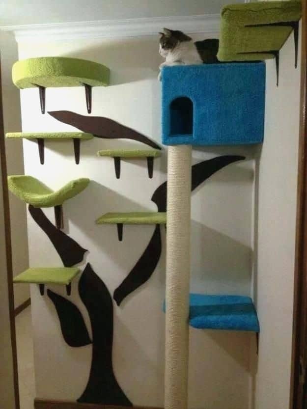 Wall Mounted Cat Tree Best Of Building Cat Tree