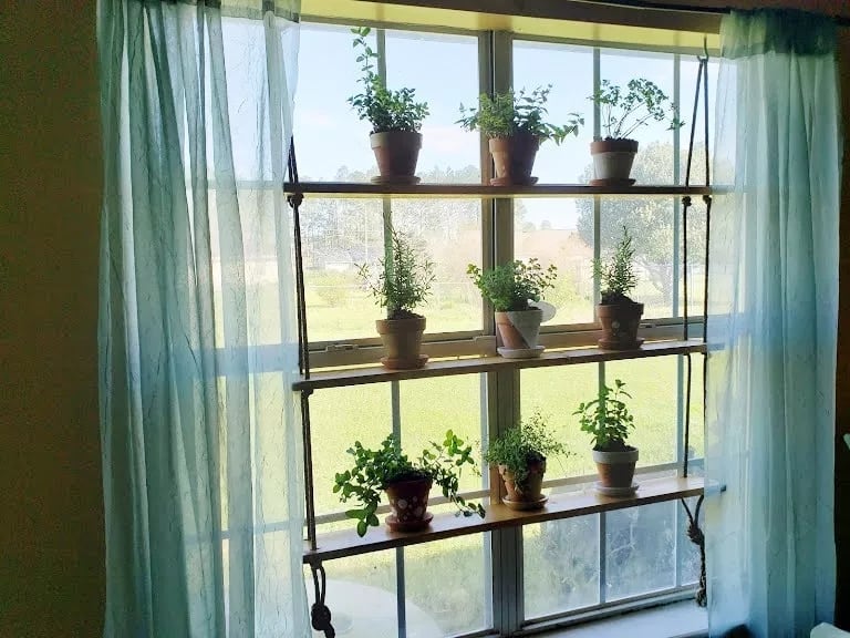 Window Herb Planter Garden