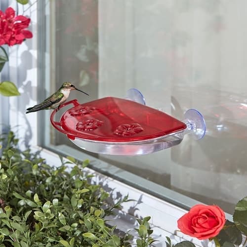 Window Mounted Hummingbird Feeder
