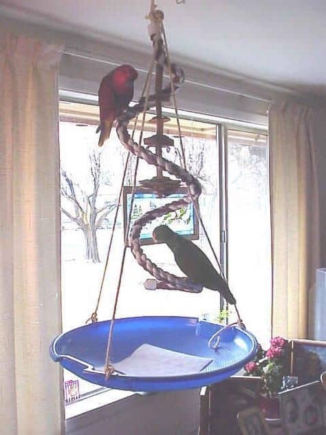 Window Perch Diy Bird Toy