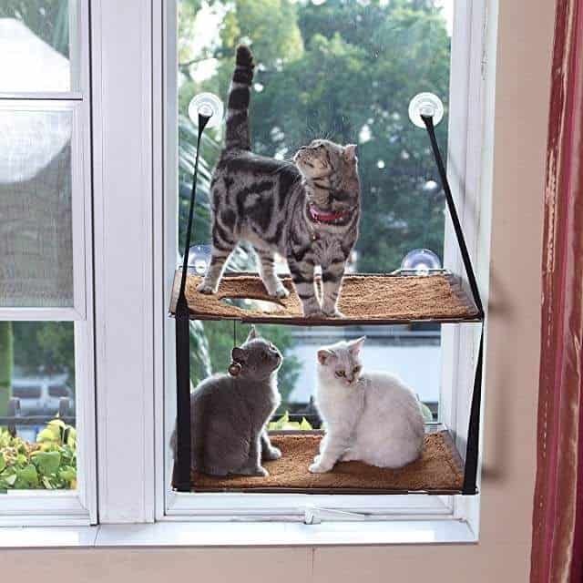 Window Sill Diy Cat Hammock